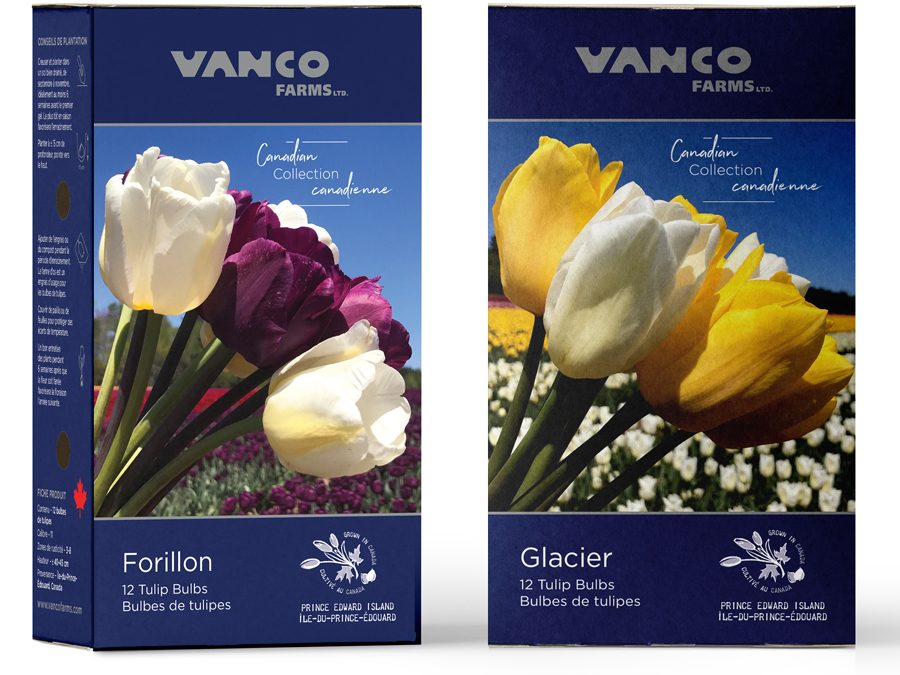 Vanco Flowers